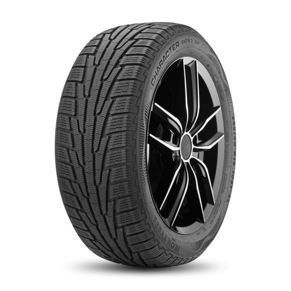 Шины Ikon 215/70 r16 Character Snow 2 SUV (Nordman RS2 SUV) 100R