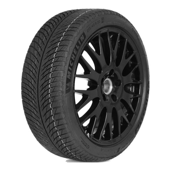 Шины Michelin  275/50/21  V 113 PILOT ALPIN 5  XL
